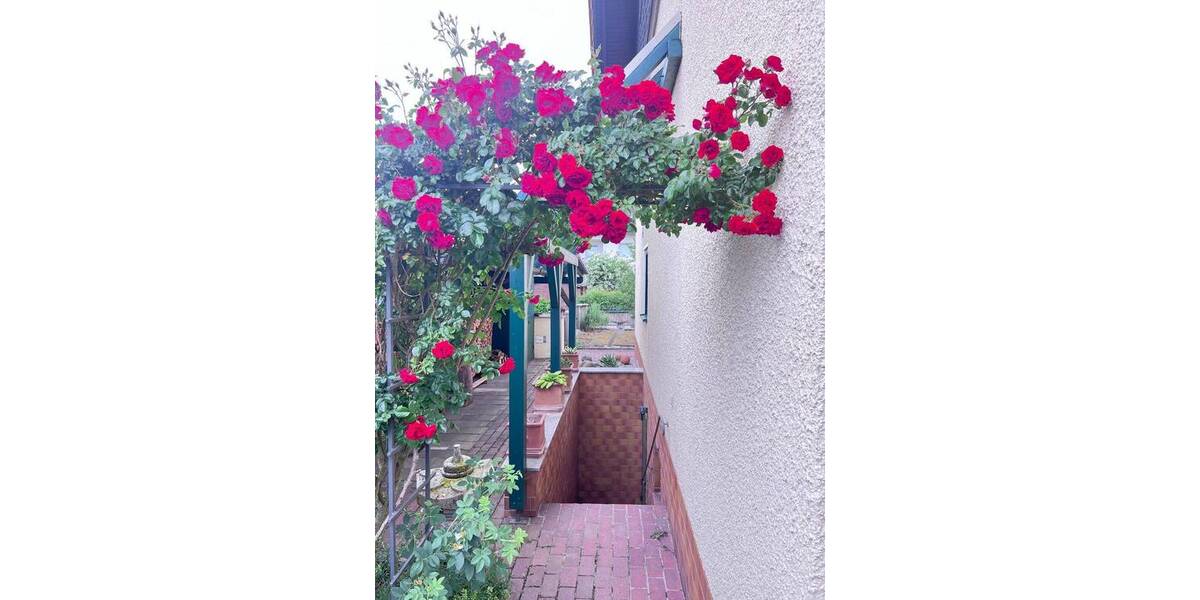 Doppelhaushälfte Zeitlarn Laub - 5 Zimmer, 194 m&sup2;, 746.000&euro; | Angebot:26863233