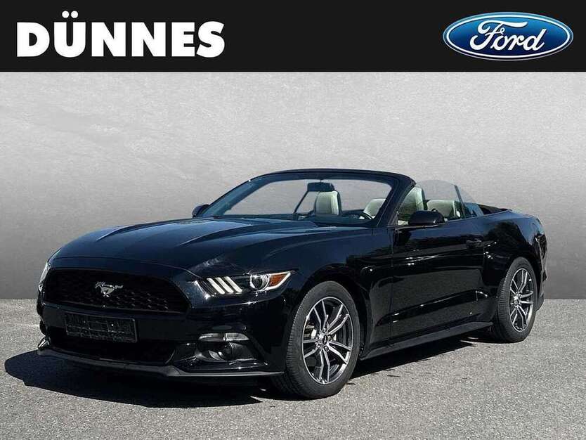 Mustang