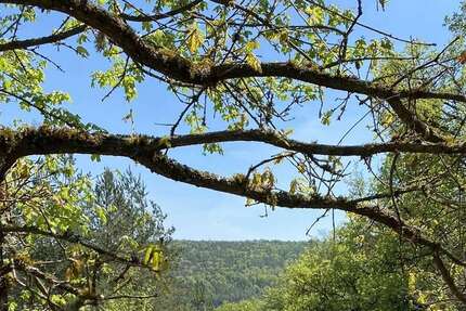 Grundstück Duggendorf Auf'nberg - 249.000&euro; | Angebot:26097604