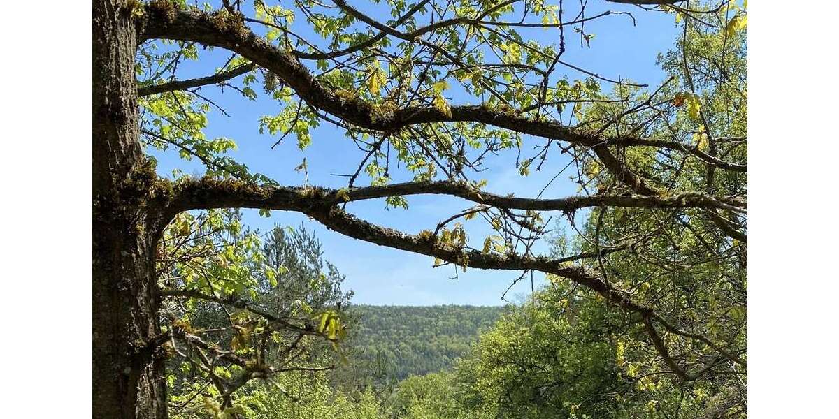 Grundstück Duggendorf Auf'nberg - 249.000&euro; | Angebot:26097604