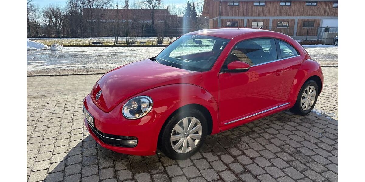 VW Beetle 159.000 km 8.990 &euro; Langquaid 84085